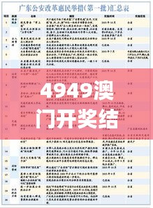 4949澳門開獎結果,權威解析方法_確認版KID7.2