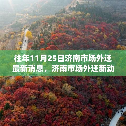 濟南市場外遷最新動態(tài)與隱秘小巷美食探秘之旅