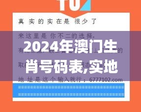 2024年澳門生肖號碼表,實地驗證實施_演講版CRZ7.35
