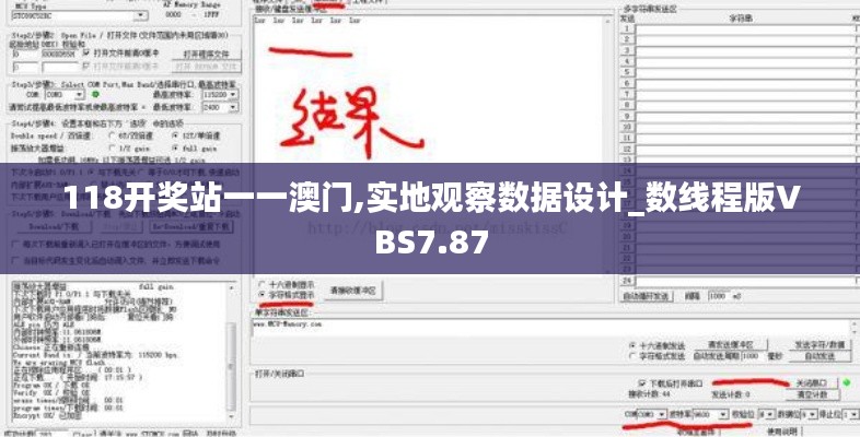 118開獎站一一澳門,實地觀察數據設計_數線程版VBS7.87
