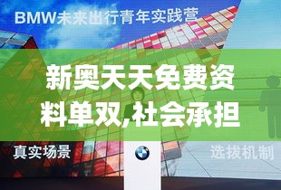 新奧天天免費資料單雙,社會承擔實踐戰略_L版DJW7.46