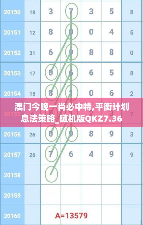 澳門今晚一肖必中特,平衡計劃息法策略_隨機版QKZ7.36