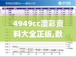 4949cc澳彩資料大全正版,數據驅動決策_權限版YNT7.3