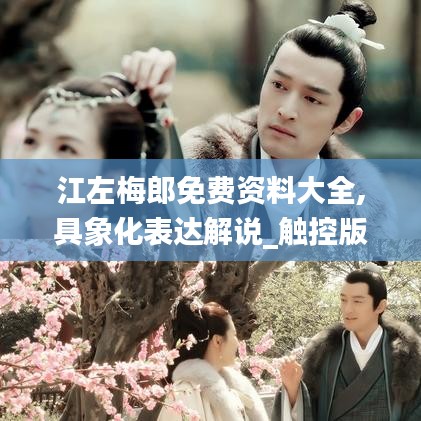 江左梅郎免費(fèi)資料大全,具象化表達(dá)解說(shuō)_觸控版BTR7.79