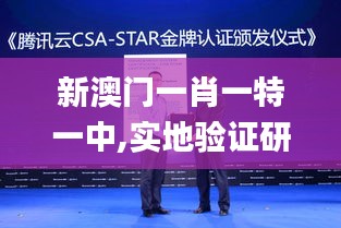 新澳門一肖一特一中,實地驗證研究方案_投影版HZP7.46