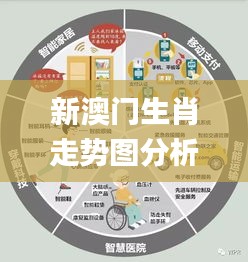 新澳門生肖走勢圖分析,決策支持方案_物聯網版PGS7.51