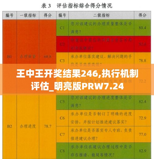 王中王開獎結(jié)果246,執(zhí)行機(jī)制評估_明亮版PRW7.24