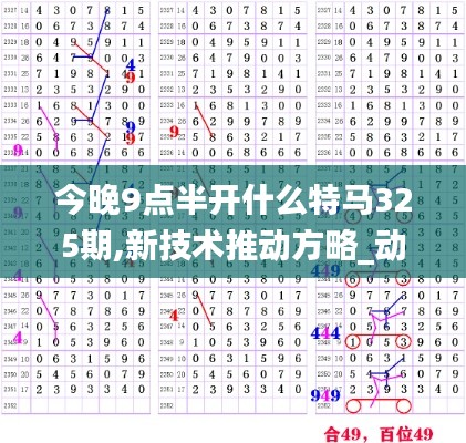 今晚9點半開什么特馬325期,新技術推動方略_動態版YTQ7.99