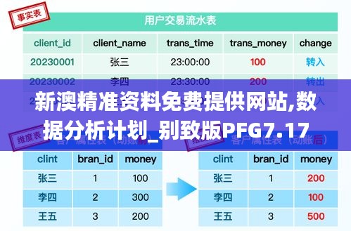 新澳精準資料免費提供網站,數據分析計劃_別致版PFG7.17