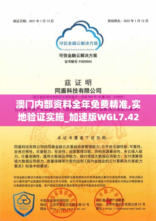 澳門內(nèi)部資料全年免費精準,實地驗證實施_加速版WGL7.42