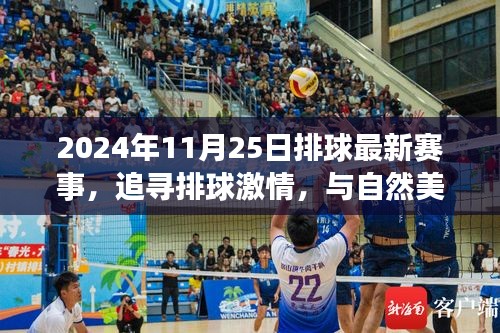 追尋激情與美景,2024年11月25日排球賽事之旅