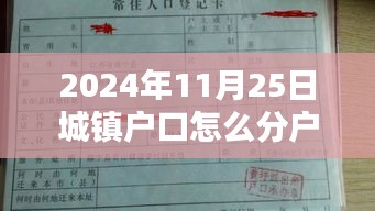 城鎮戶口溫馨分戶記,最新分戶政策解讀與指南(2024年11月)