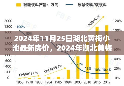 2024年湖北黃梅小池最新房價解析與購房指南,全方位解讀步驟詳解