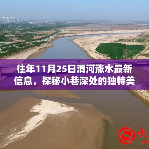 渭河漲水日探秘獨特美味，隱藏版美食小店揭秘，美食與自然的交響樂章