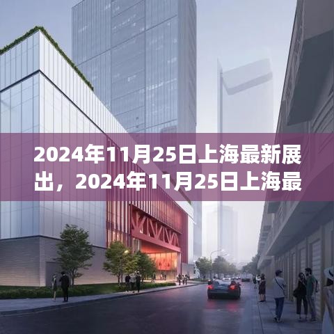 2024年11月25日上海最新展出產品深度評測與介紹