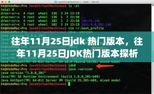 往年11月25日JDK熱門版本深度解析，觀點與個人立場探討
