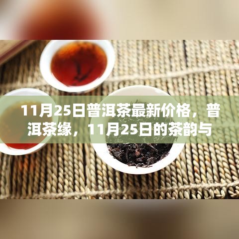 11月25日普洱茶最新價(jià)格,茶韻與溫情的邂逅