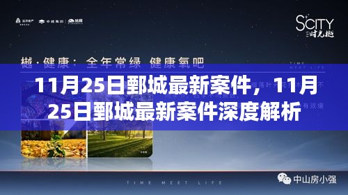 11月25日鄄城最新案件深度剖析