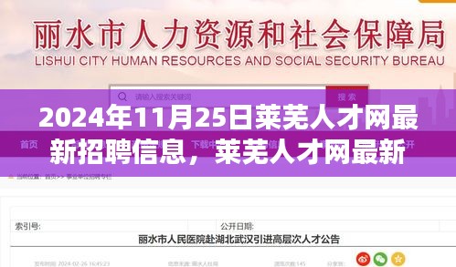 聚焦要點解析,萊蕪人才網最新招聘信息發布(2024年11月版)