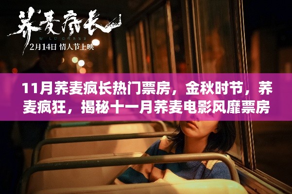 揭秘十一月蕎麥電影風靡背后的故事,金秋時節蕎麥瘋狂引領票房熱潮