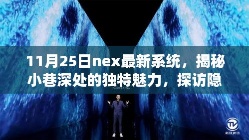 揭秘小巷深處的獨特魅力,Nex最新系統特色小店的探訪之旅