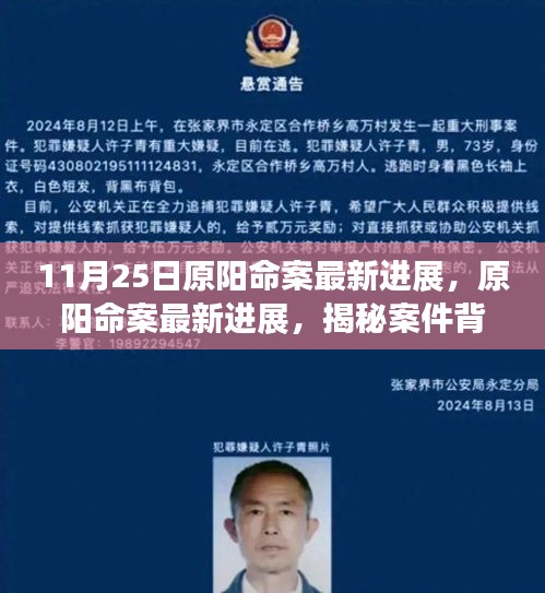揭秘原陽(yáng)命案最新進(jìn)展,案件背后的故事浮出水面