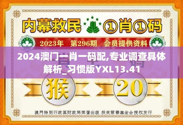 2024澳門一肖一碼配,專業調查具體解析_習慣版YXL13.41