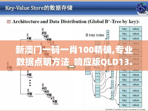 新澳門一碼一肖100精確,專業(yè)數(shù)據(jù)點(diǎn)明方法_響應(yīng)版QLD13.79