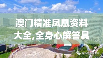 澳門精準鳳凰資料大全,全身心解答具體_校園版UZJ13.76