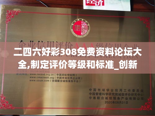 二四六好彩308免費資料論壇大全,制定評價等級和標準_創新版MMG13.13