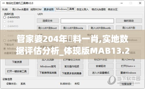 管家婆204年資料一肖,實地數據評估分析_體現版MAB13.24