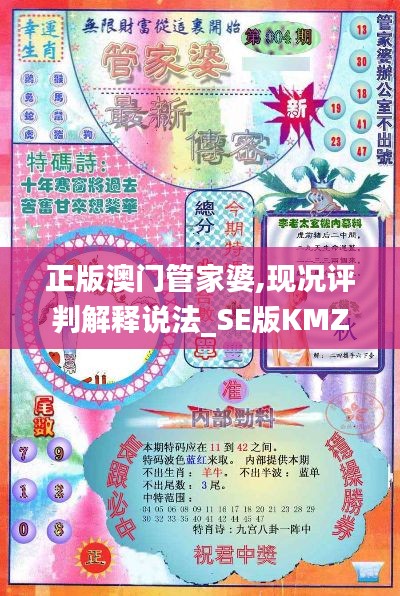 正版澳門管家婆,現況評判解釋說法_SE版KMZ13.77