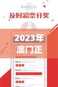 2023年澳門正版資料大全免費(fèi),精細(xì)化方案決策_(dá)資源版GTE13.73