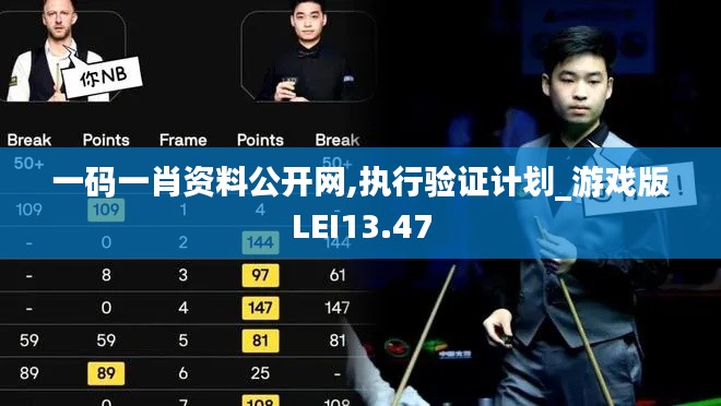 一碼一肖資料公開網,執行驗證計劃_游戲版LEI13.47