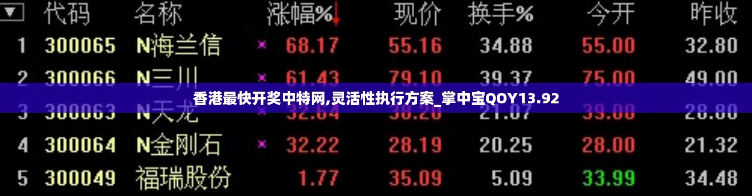 香港最快開獎中特網,靈活性執行方案_掌中寶QOY13.92