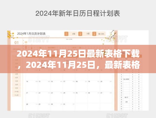 2024年11月25日里程碑時刻,最新表格下載盛大開啟