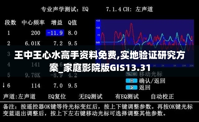 王中王心水高手資料免費,實地驗證研究方案_家庭影院版GIS13.31
