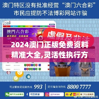 2024澳門正版免費資料精準大全,靈活性執行方案_采購版DUI13.6
