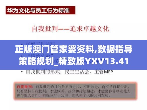 正版澳門管家婆資料,數據指導策略規劃_精致版YXV13.41