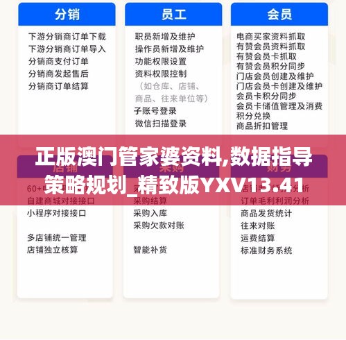 正版澳門管家婆資料,數據指導策略規劃_精致版YXV13.41