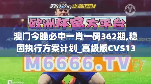 澳門今晚必中一肖一碼362期,穩固執行方案計劃_高級版CVS13.74