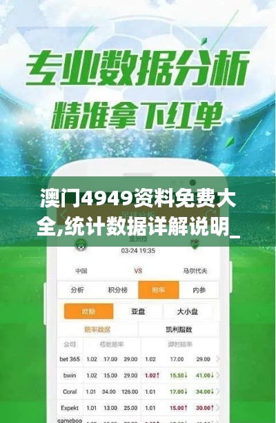澳門4949資料免費大全,統計數據詳解說明_閃電版XKO13.17