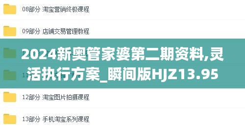 2024新奧管家婆第二期資料,靈活執行方案_瞬間版HJZ13.95