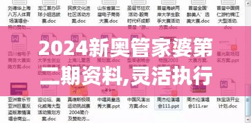2024新奧管家婆第二期資料,靈活執行方案_瞬間版HJZ13.95