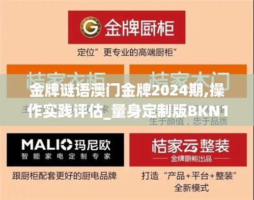 金牌謎語澳門金牌2024期,操作實踐評估_量身定制版BKN13.10