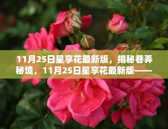 揭秘巷弄秘境,星享花最新版特色小店探秘之旅