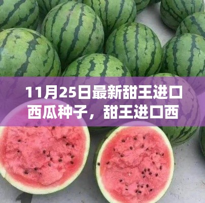 最新甜王進口西瓜種子,感受成長之甜與變化之力