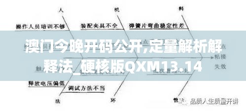 澳門今晚開(kāi)碼公開(kāi),定量解析解釋法_硬核版QXM13.14