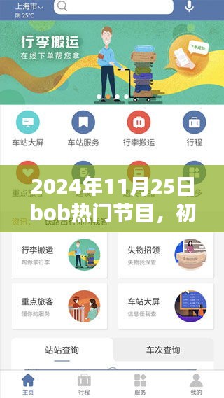 初學者與進階用戶觀看指南,Bob熱門節目詳細步驟及精彩內容回顧(2024年11月25日)