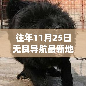 往年11月25日無良導航新領地,追尋心靈的港灣,探尋旅行的真正意義